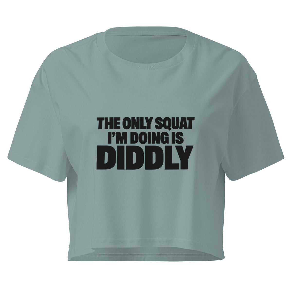 Diddly Squat Relaxed Crop Top