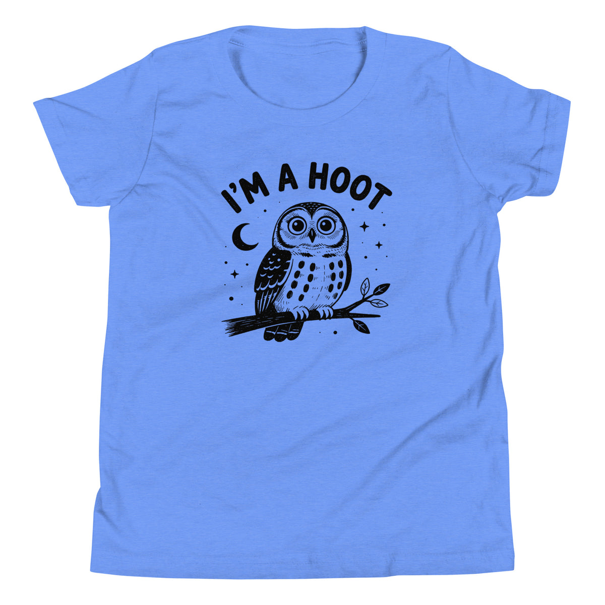I'm a Hoot Youth T-Shirt in Heather Columbia Blue, front
