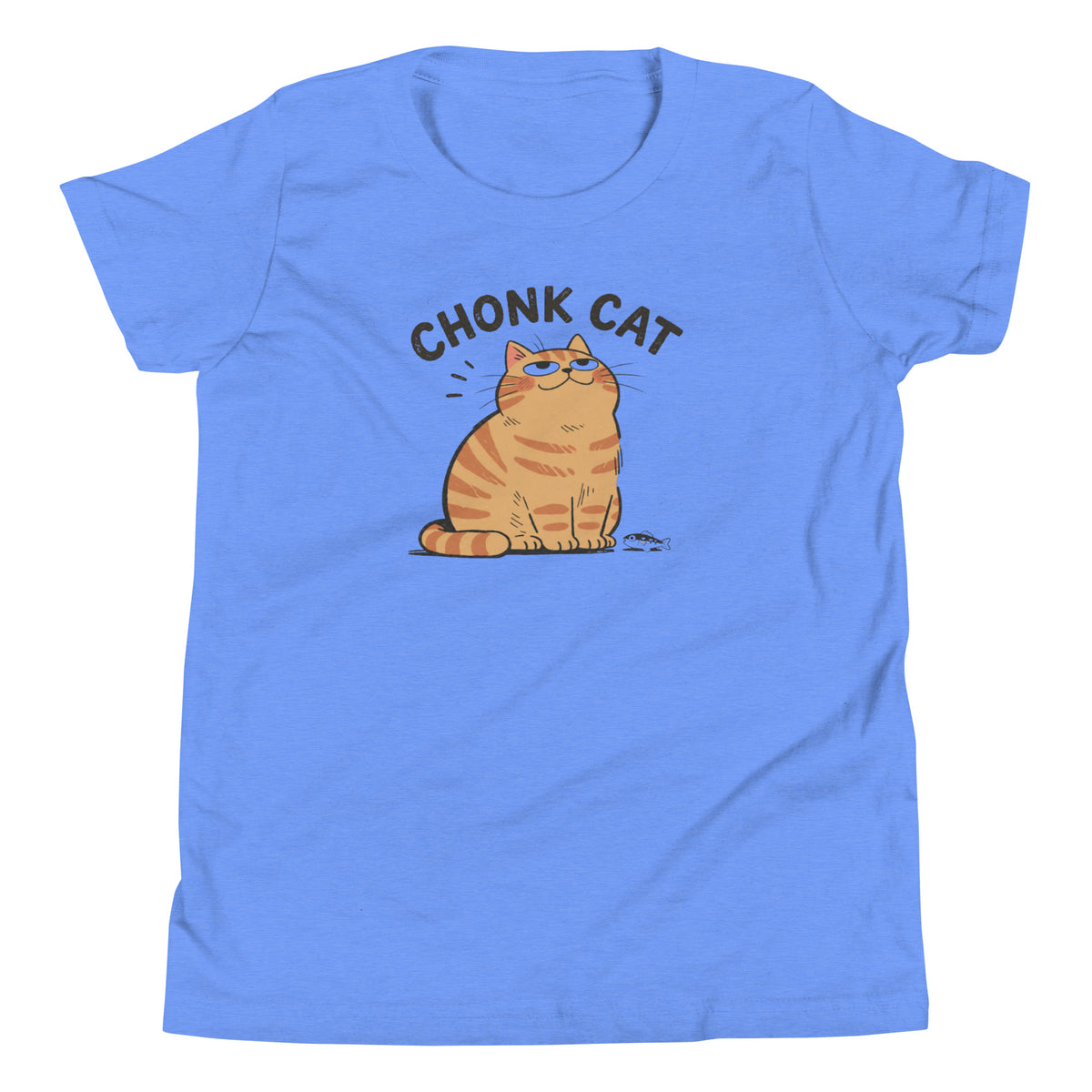 Chonk Cat Youth T-Shirt in Heather Columbia Blue, front